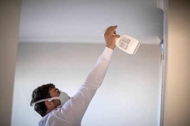 Professional Mold Removal in Beloit, WI