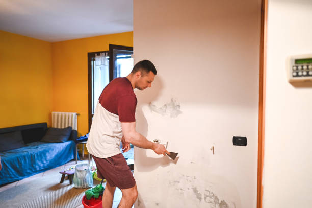 Best Home Mold Removal  in Beloit, WI